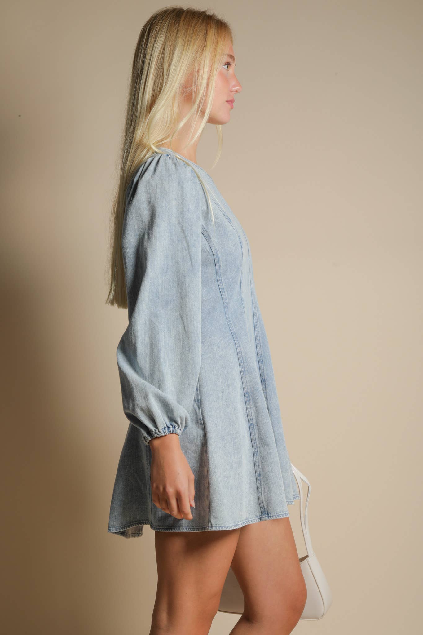 Daydream Denim Dress