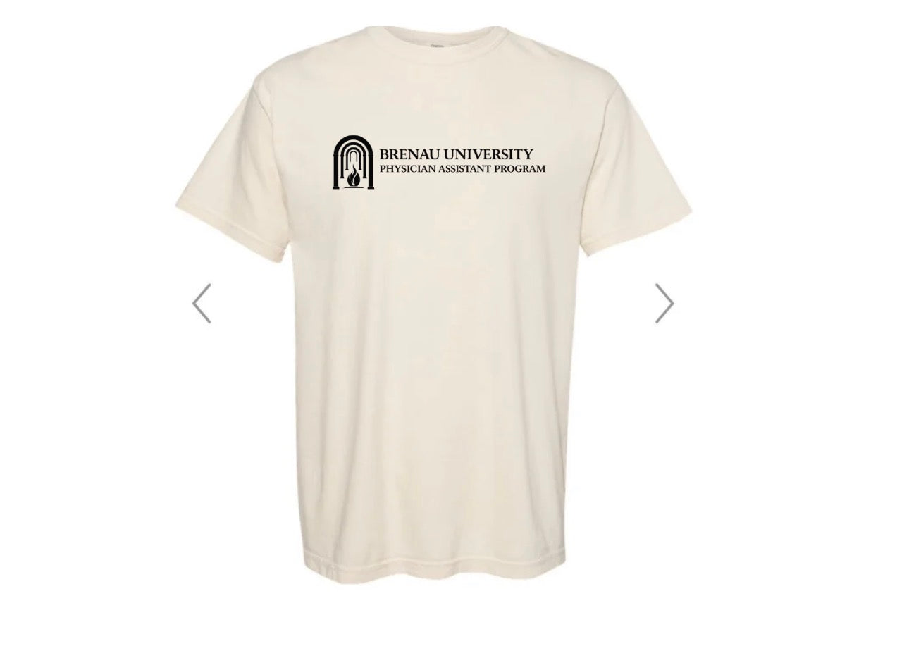 Brenau Black Logo Tee (Comfort Color)