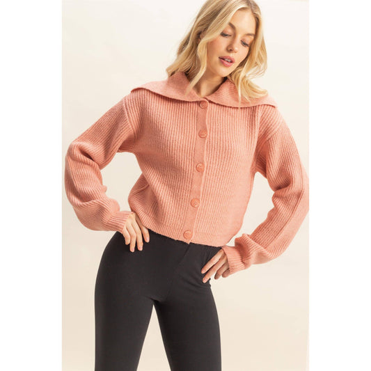 Blush&Button Collar Sweater